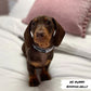 Dog Collar - Cocopup -  Monochrome Spots