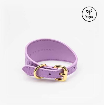 Dog Collar - Vegan - Wide - Violet Crocco